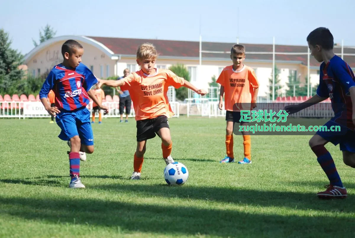 足球比分竞猜分析与数据